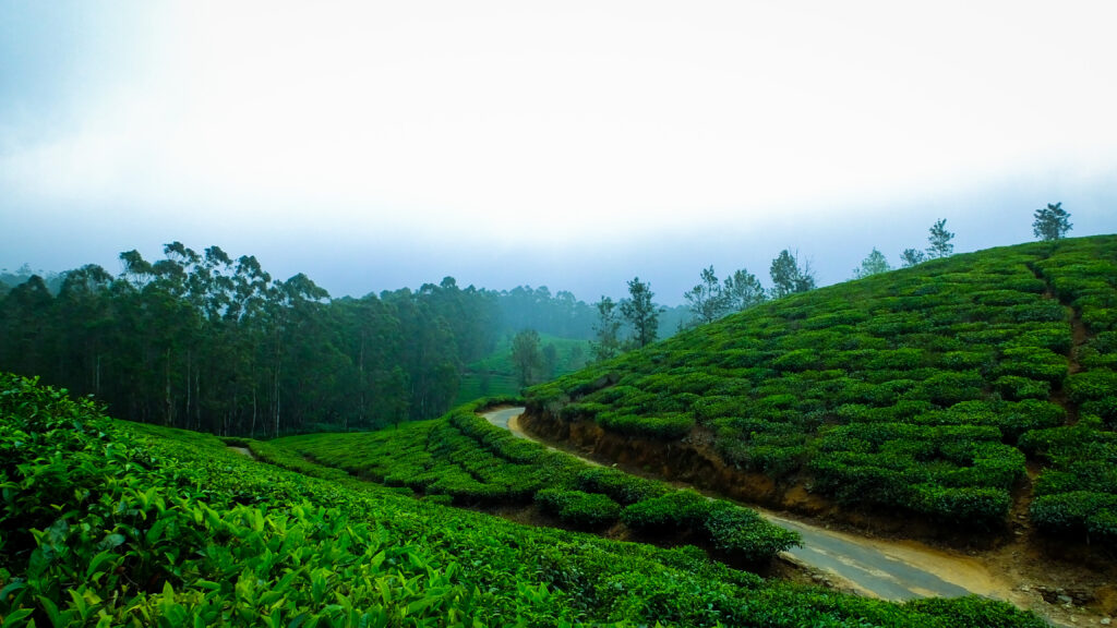 Places to visit in coorg in 2 days